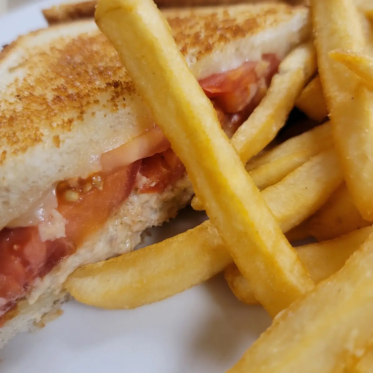 Tuna Melt