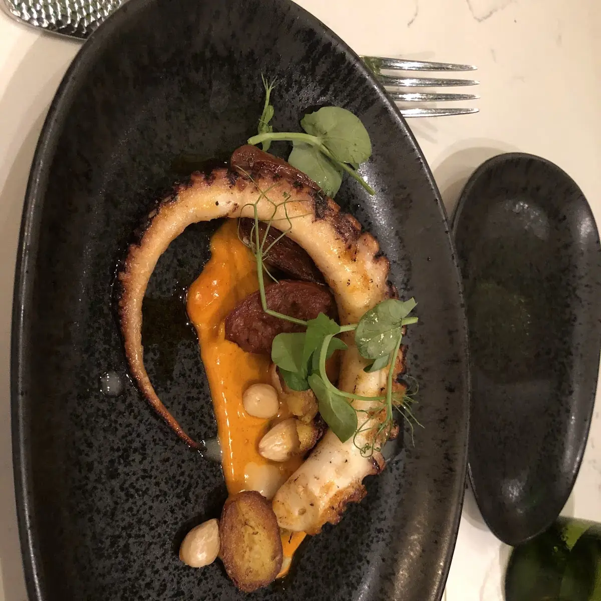 Grilled Octopus