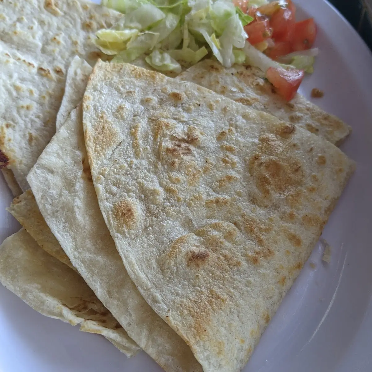 Cheese Quesadilla