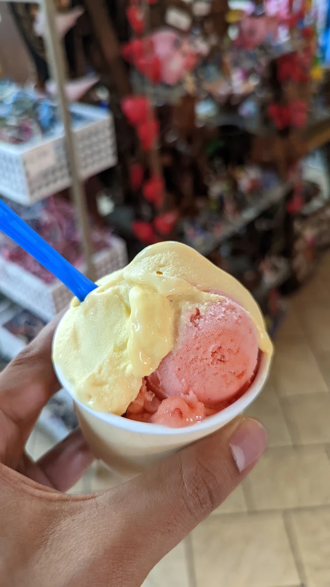 3 Scoop Gelato