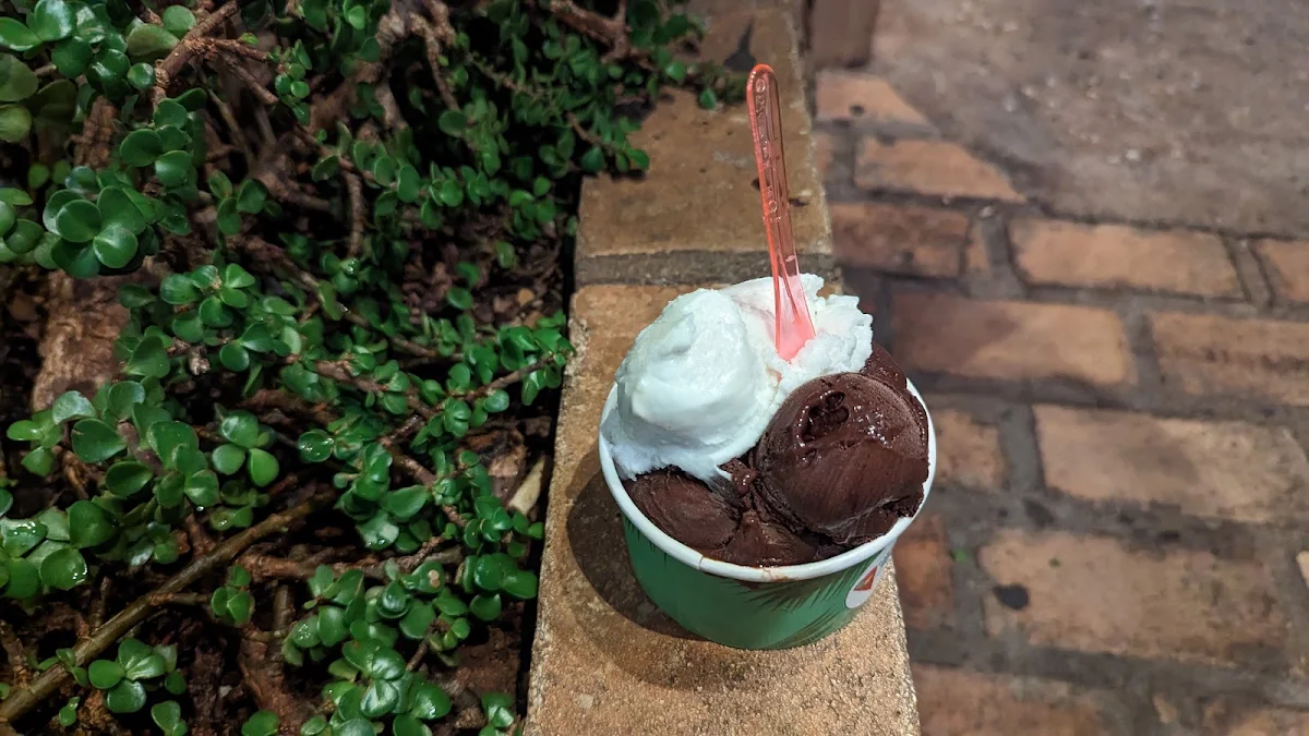 Dark Chocolate and Coconut Non-Dairy