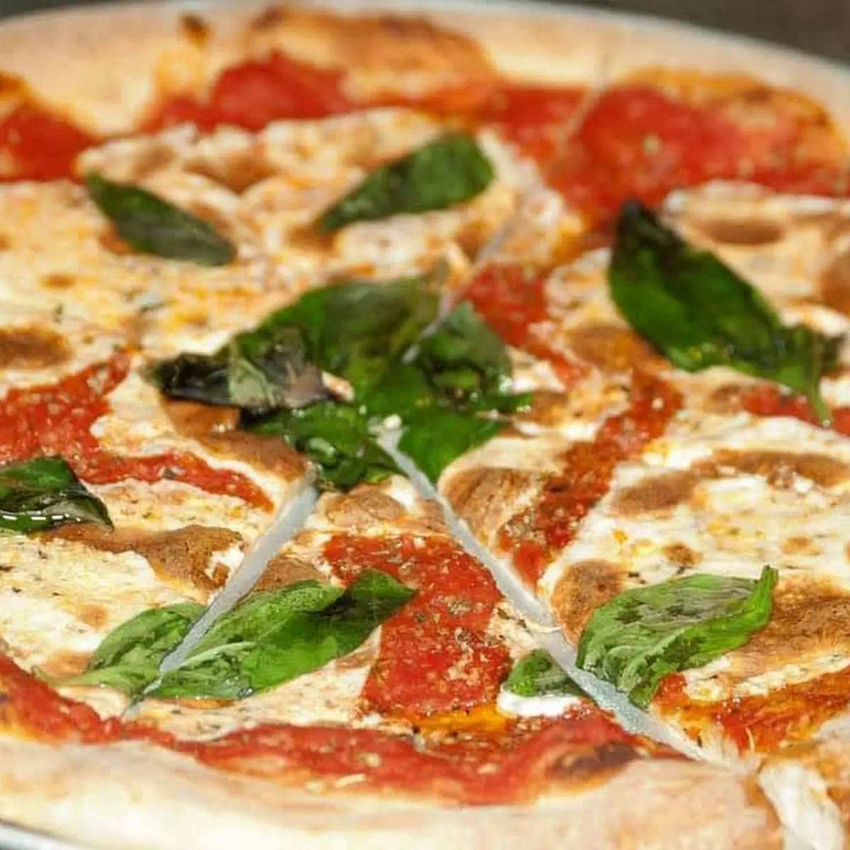 Pizza Margherita