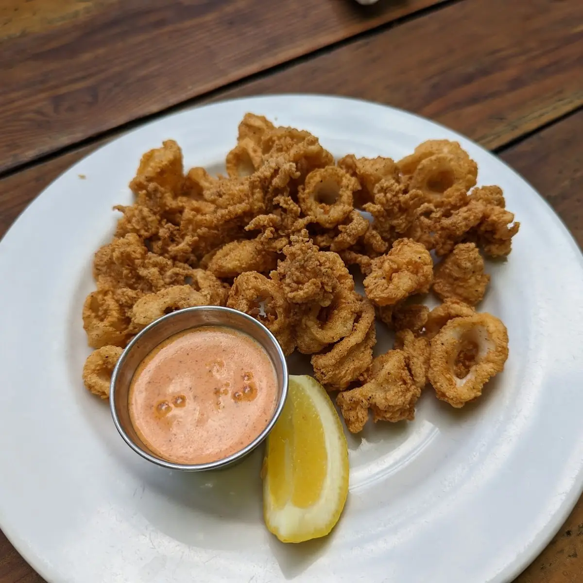 Fried Calamari