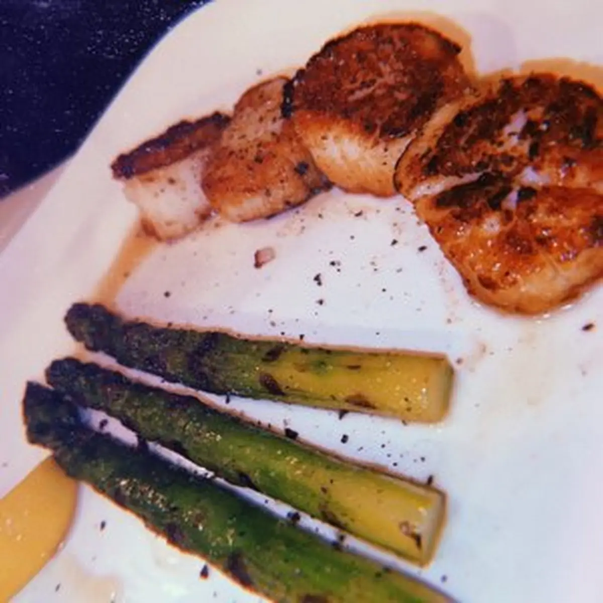 Pan Seared Scallops