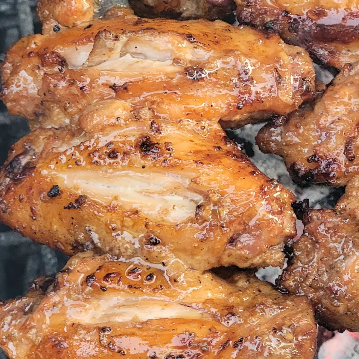 Chicken Wings Kebab