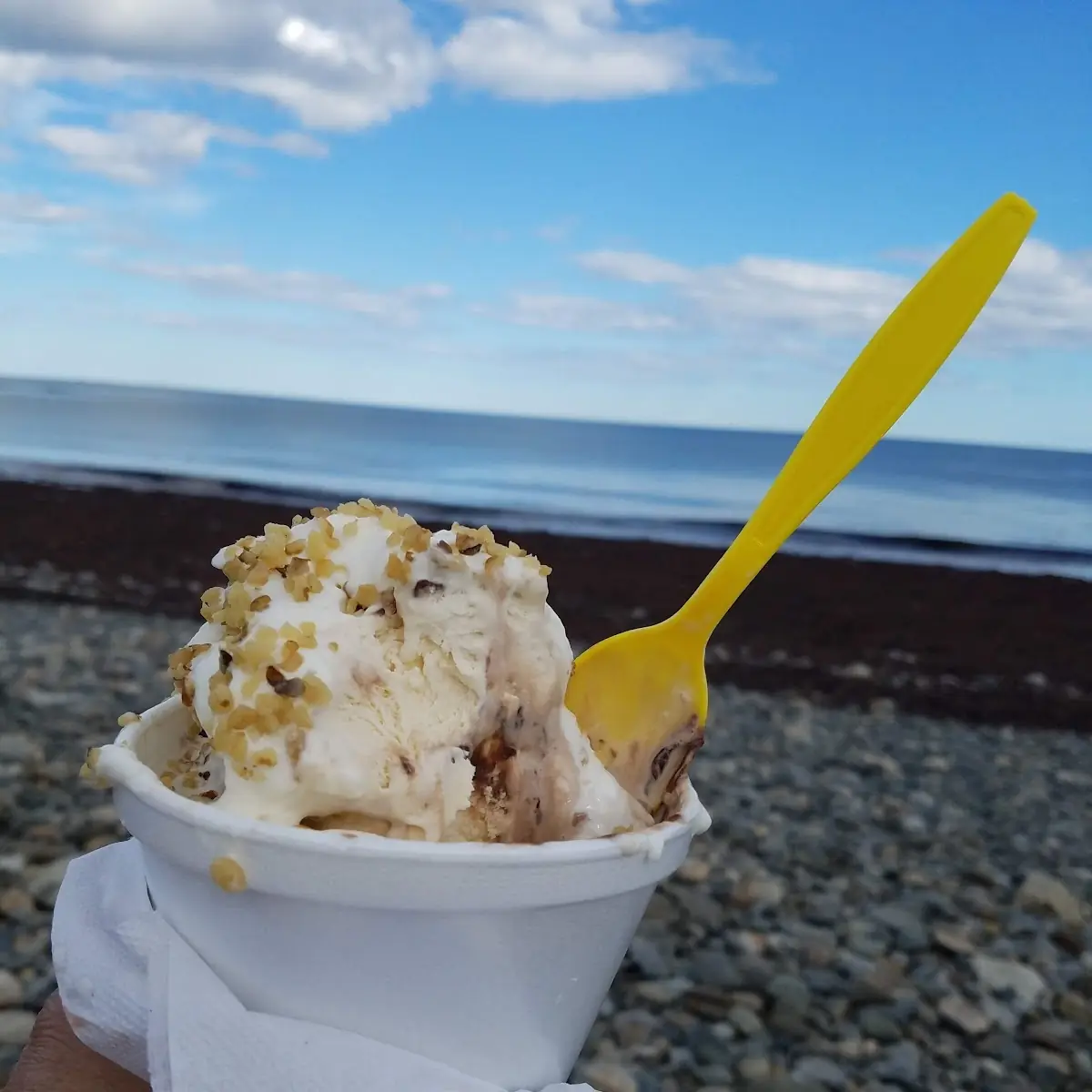 Hot Fudge Sundae