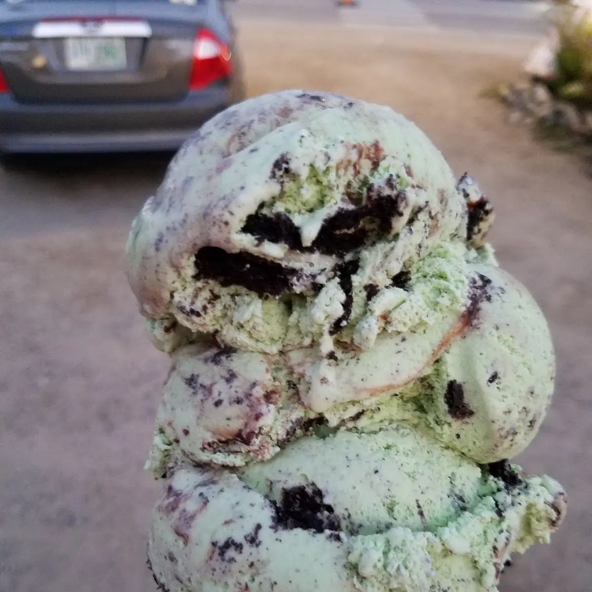 Mint Chocolate Chip