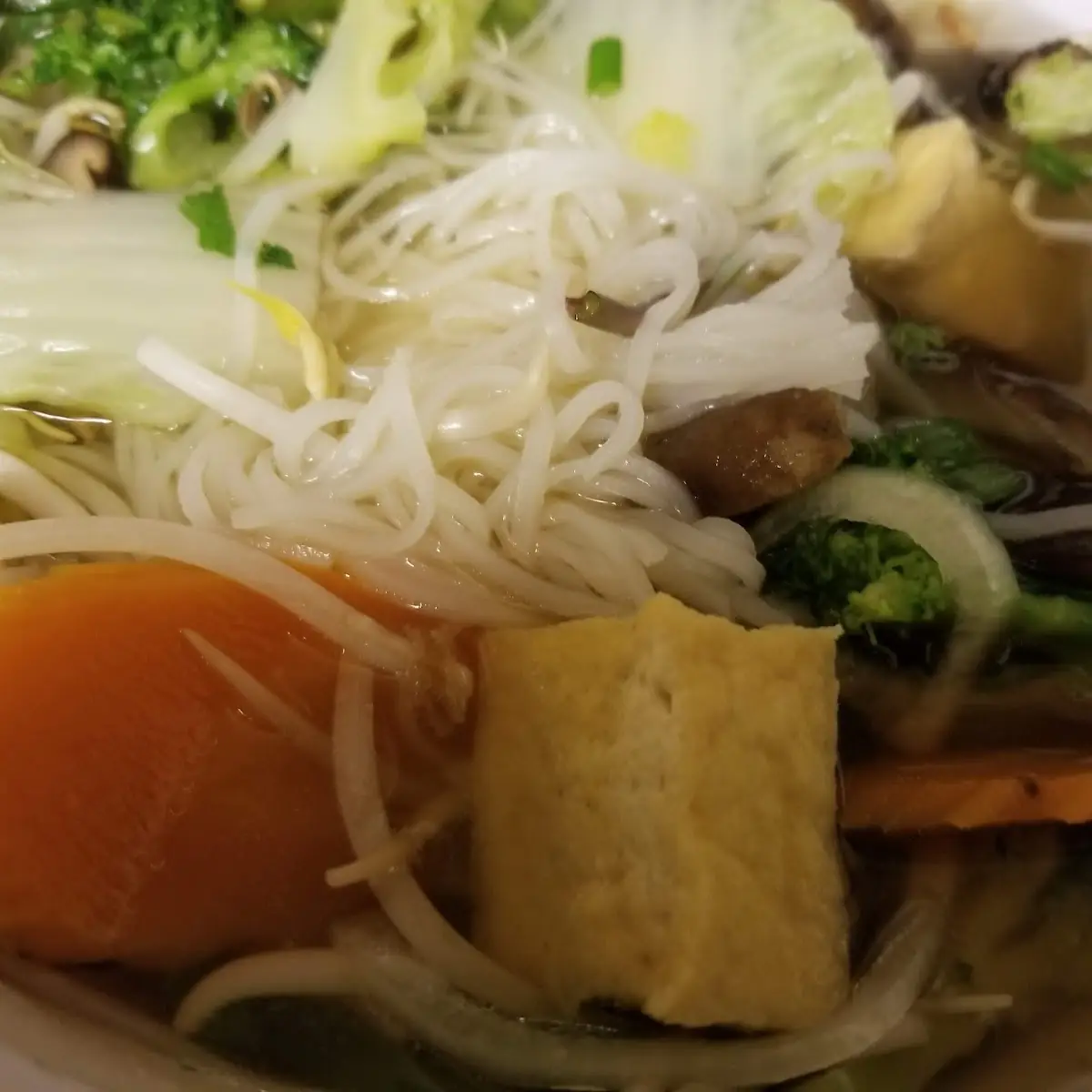 Vegetable Noodle Soup