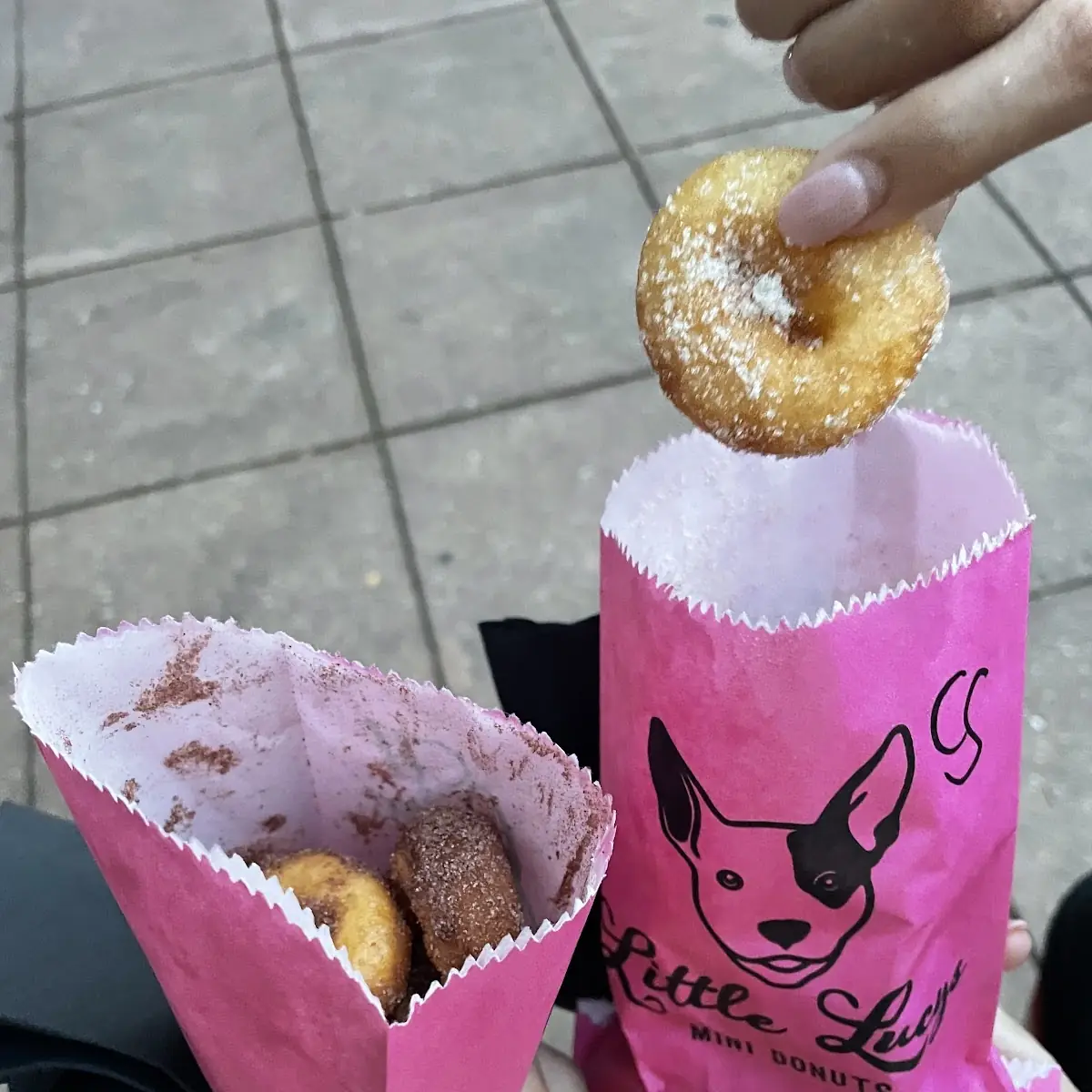 Hot Fresh Mini Donuts