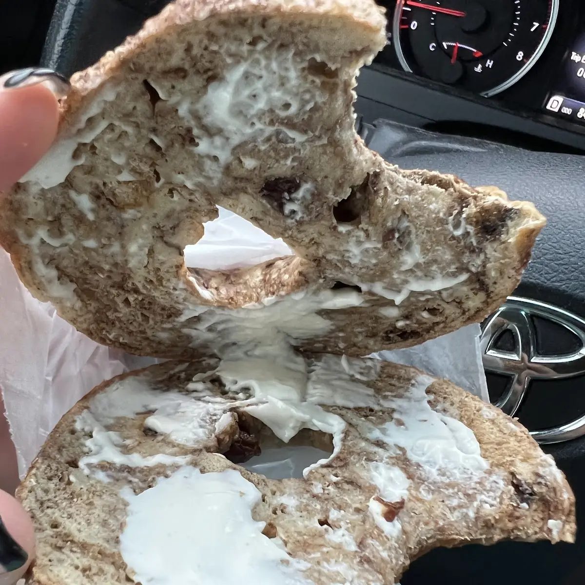 Cinnamon Raisin Bagel with Cream Cheese