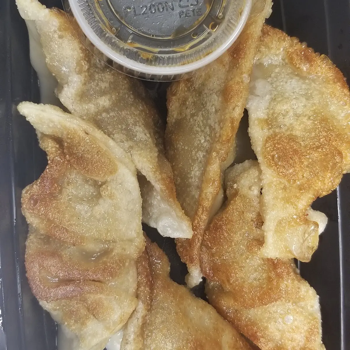 Fried Dumplings