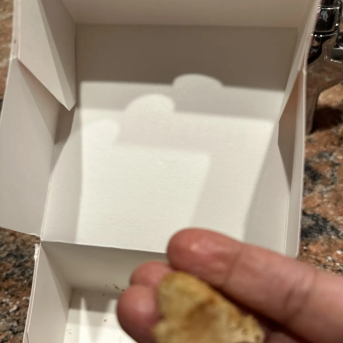 Chocolate Chip Cookie