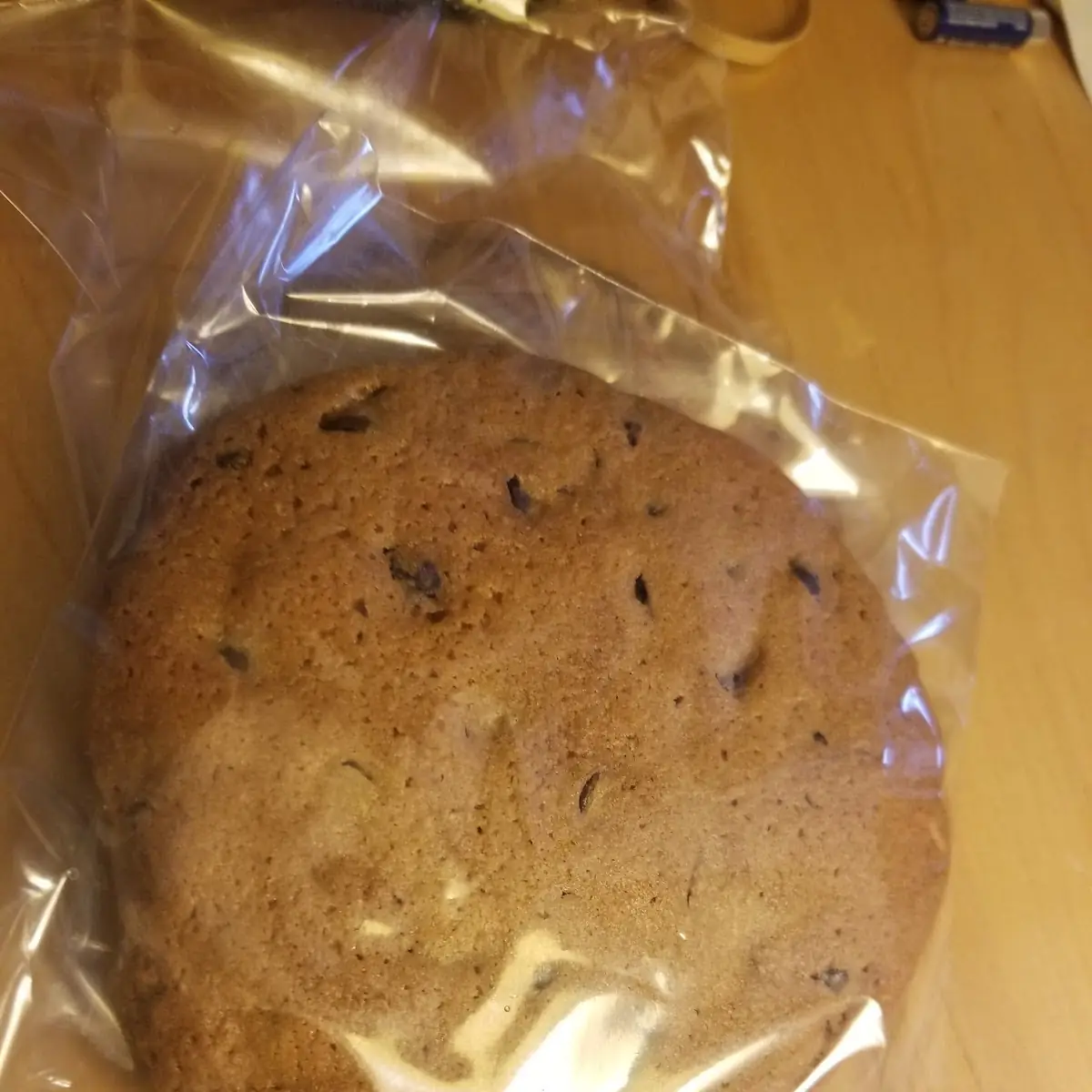 Warm Chocolate Chip Cookie