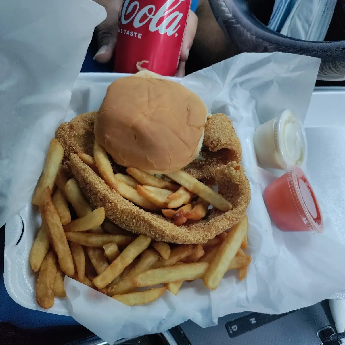 Fish Sandwich Combo