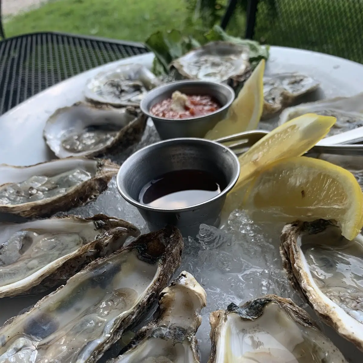 Oysters on the Half Shell