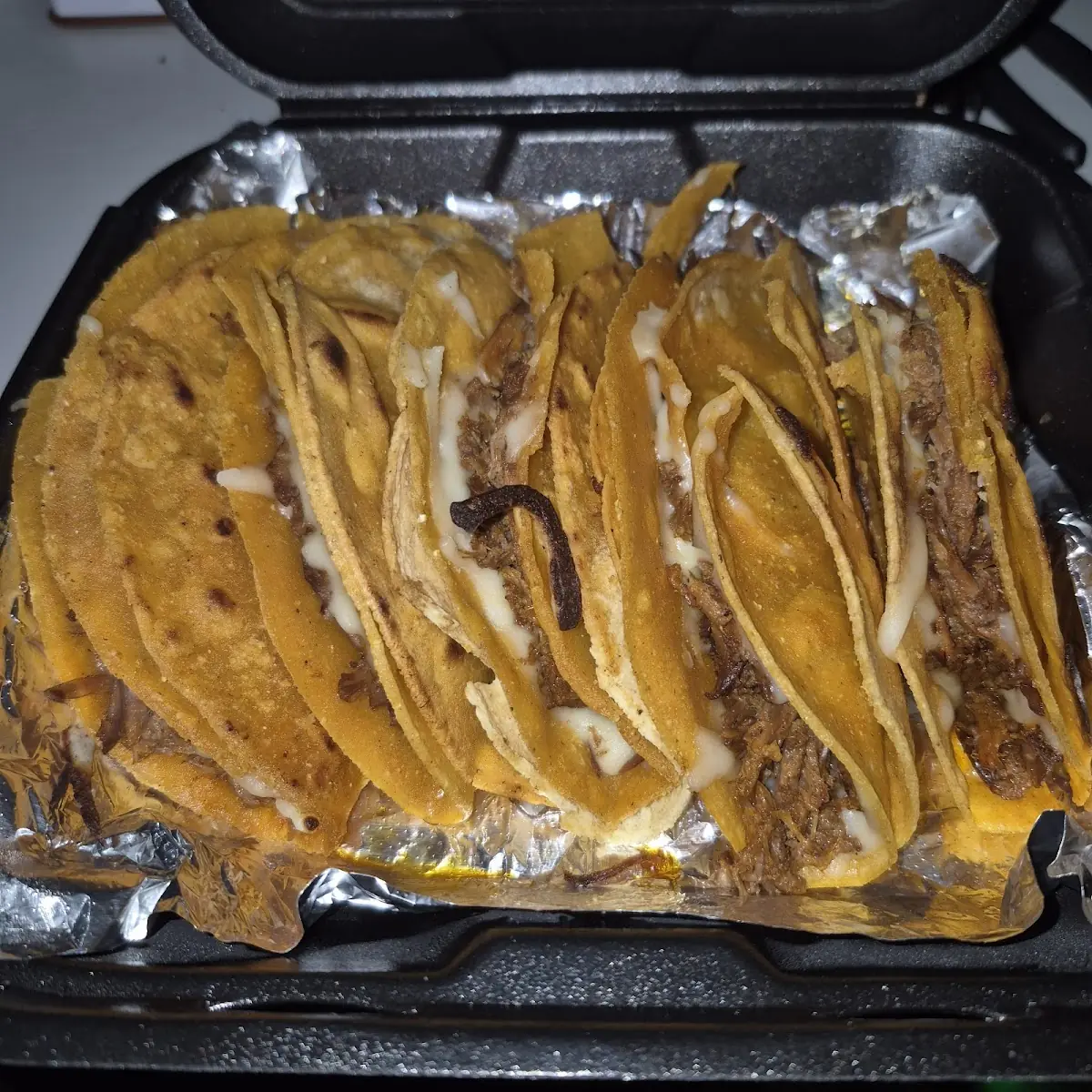Cheese Quesadilla