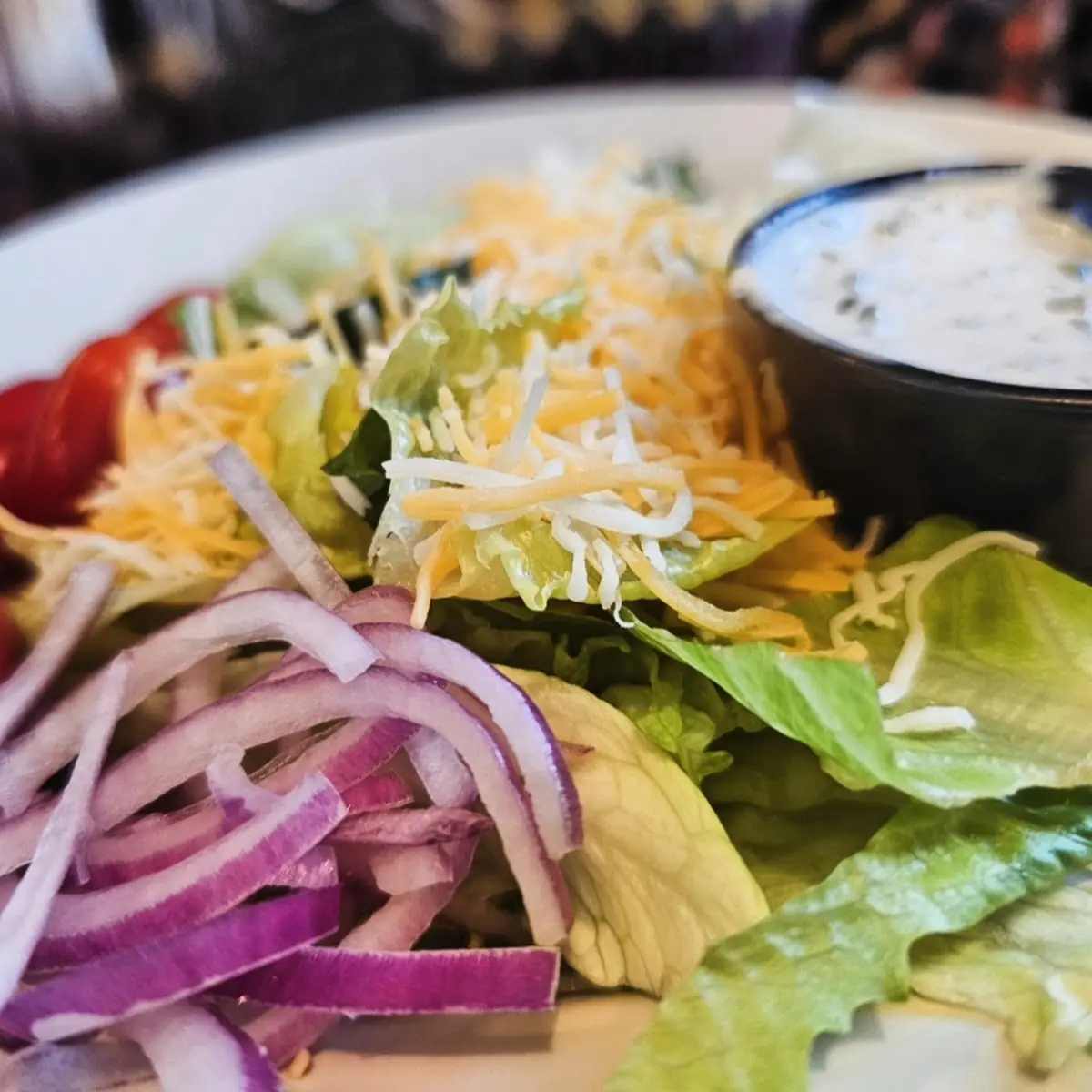 Side Garden Salad