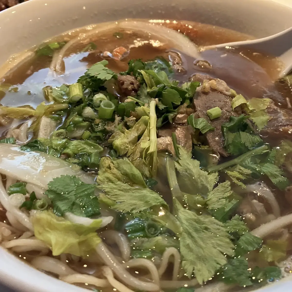 Duck Noodle Soup