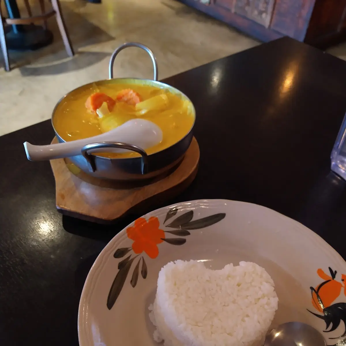 Yellow Curry Chicken and White Rice