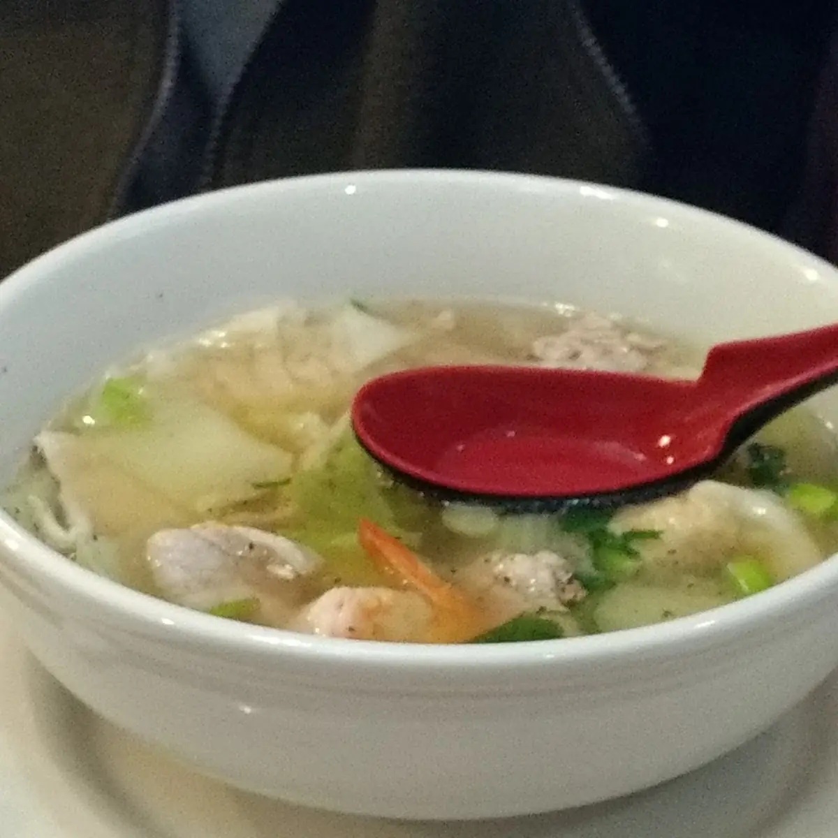 Wonton Soup
