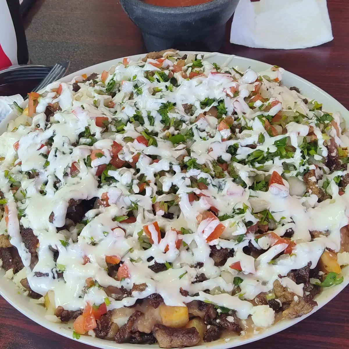 Carne Asada Fries