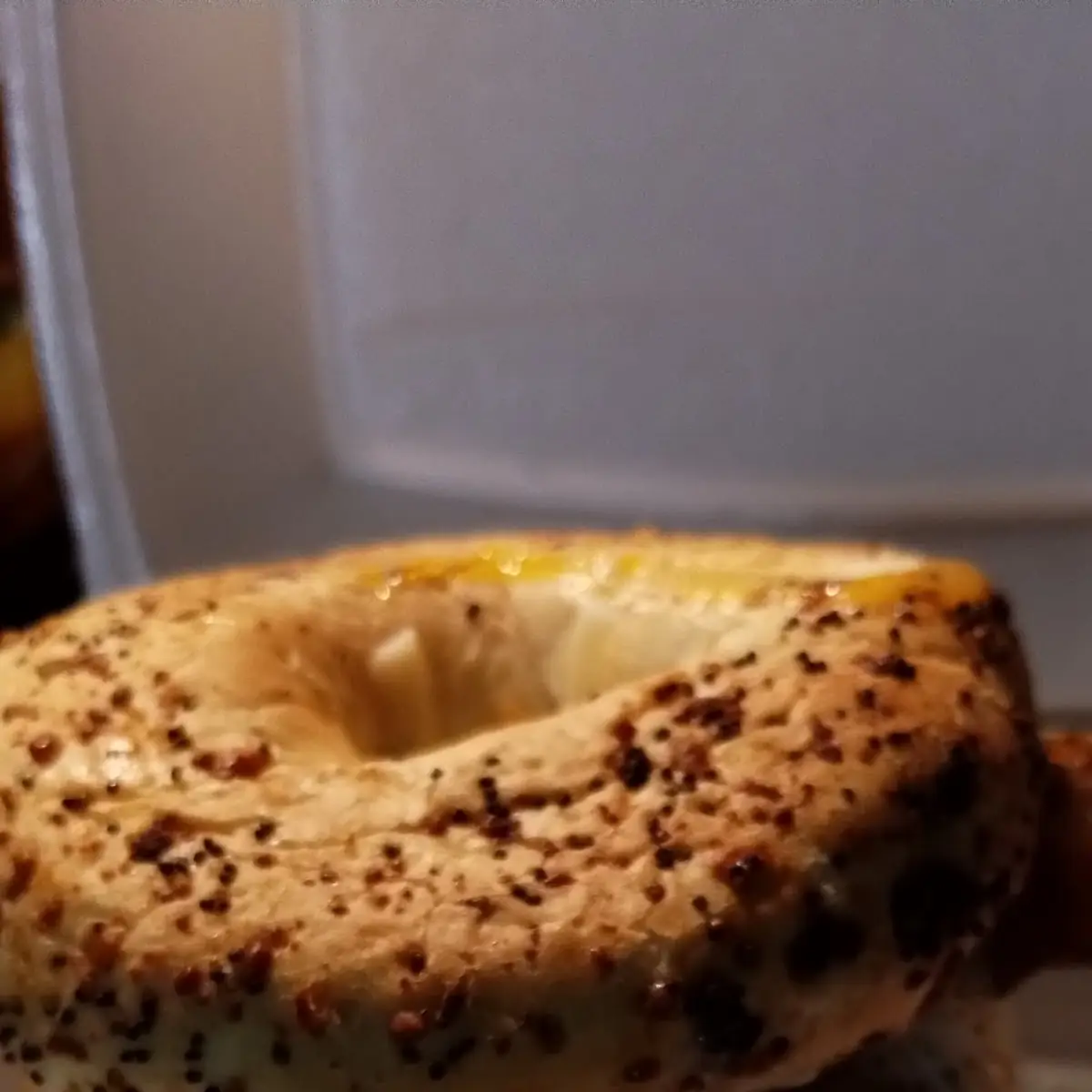 T-Rex Burger on Everything Bagel