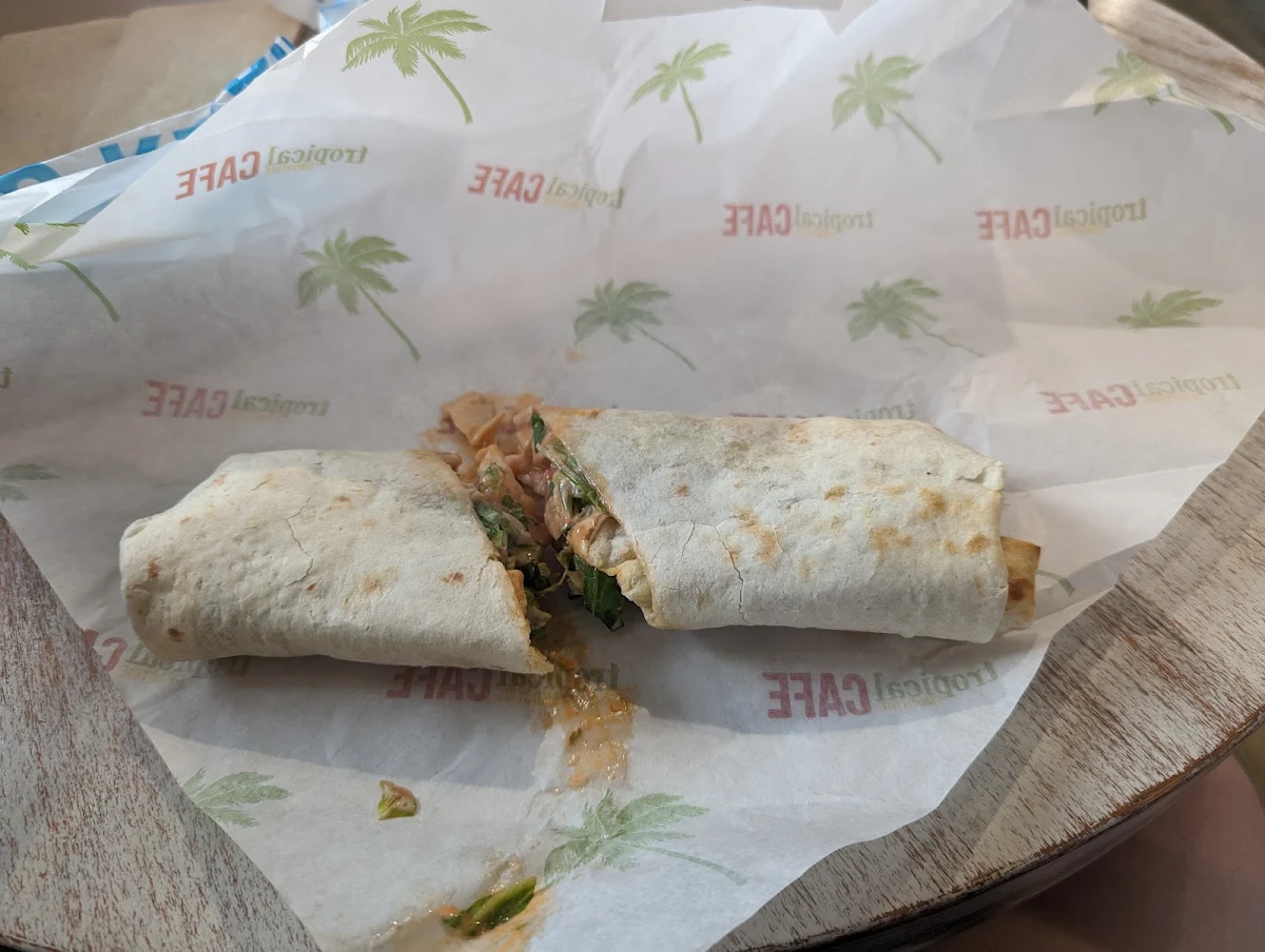 Hummus Veggie Wrap