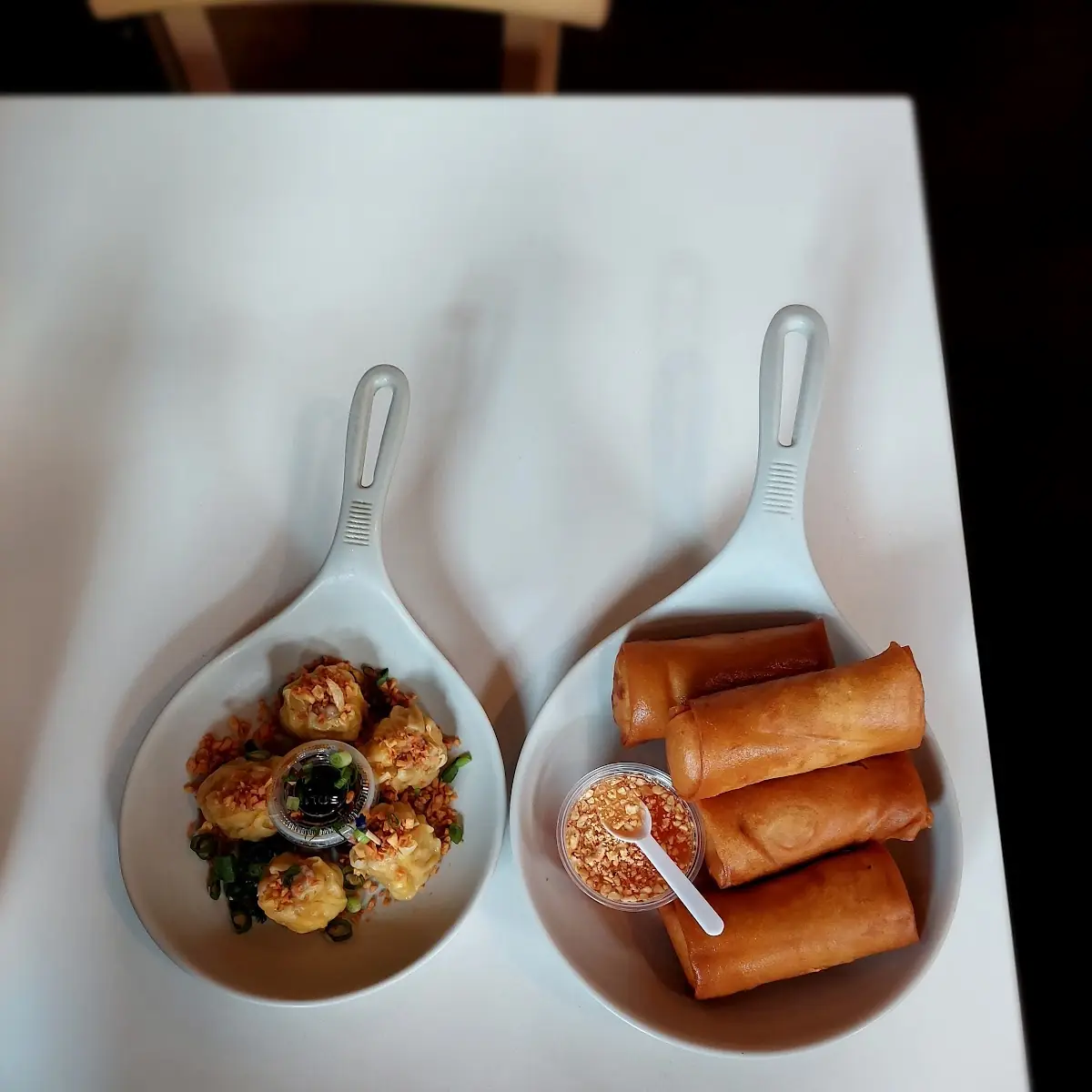 Pork Dumplings & Spring Roll