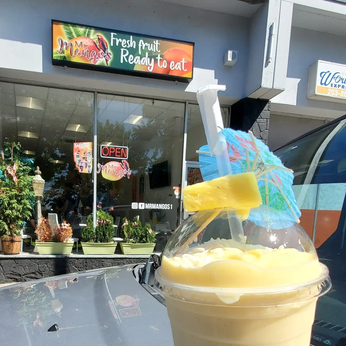 Piña Colada Smoothie 24 Oz