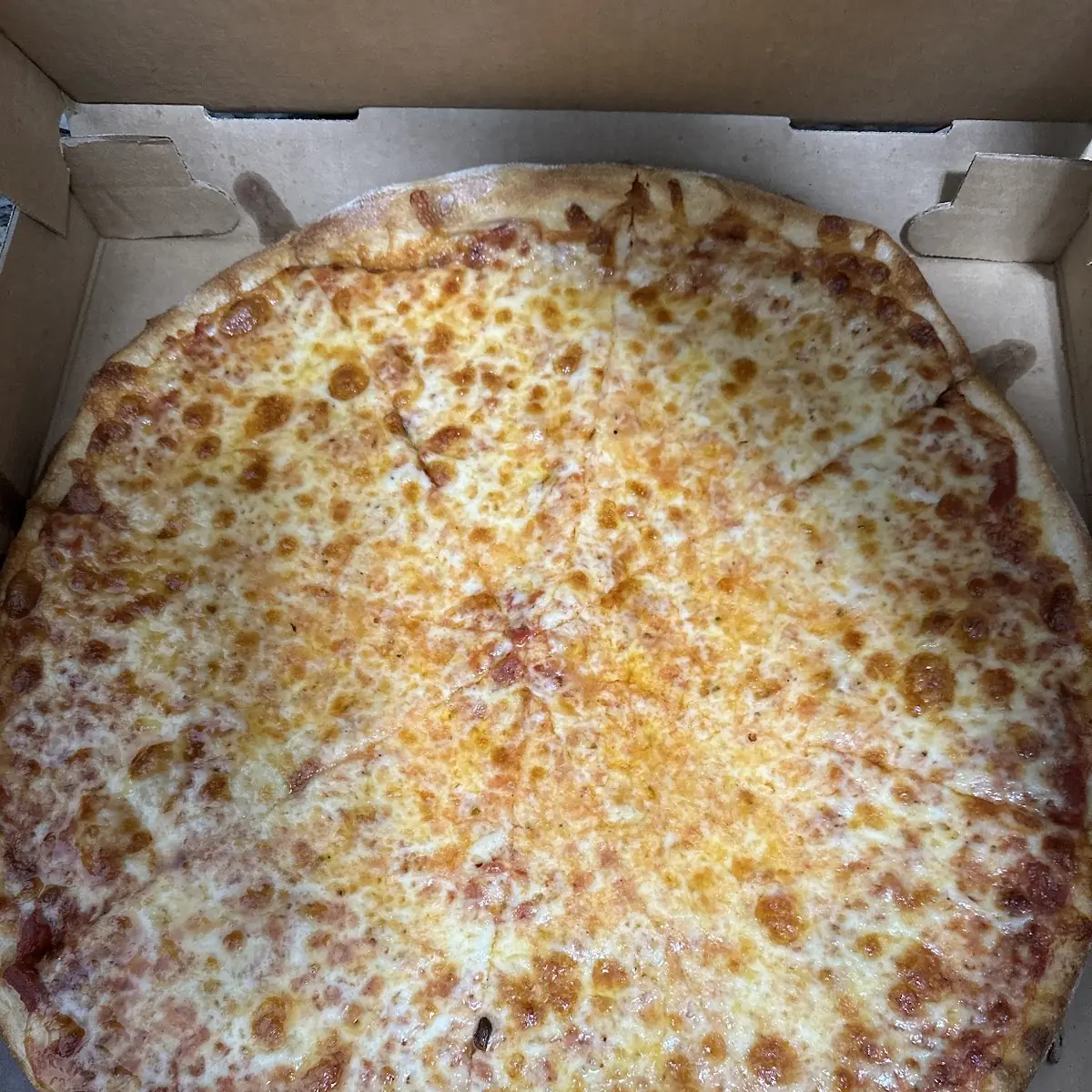 Extra Cheese Pizza