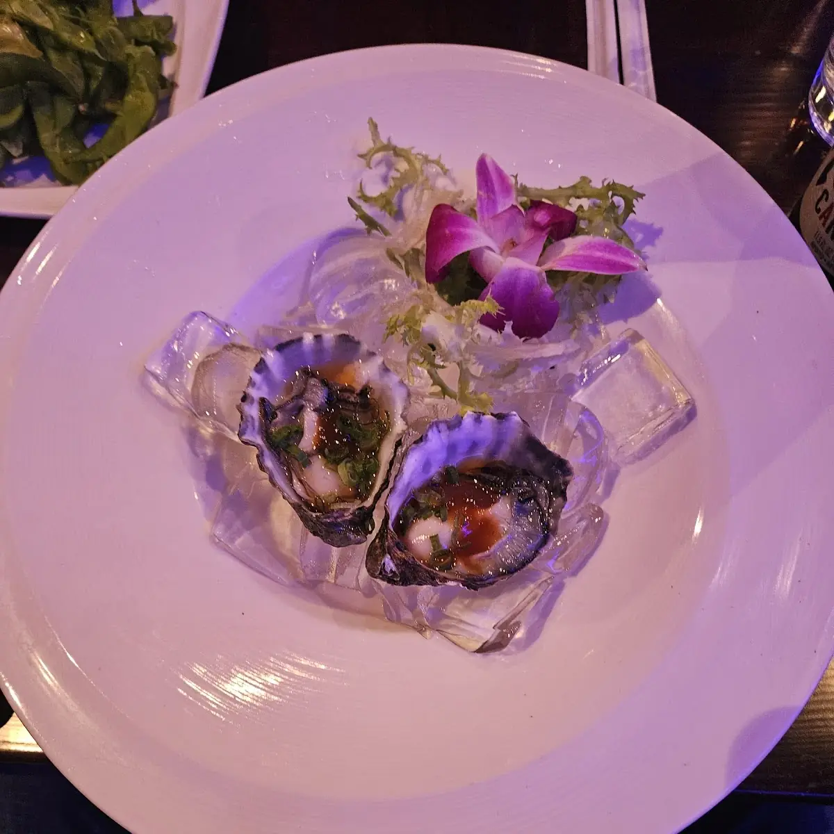Oysters on the Half Shell