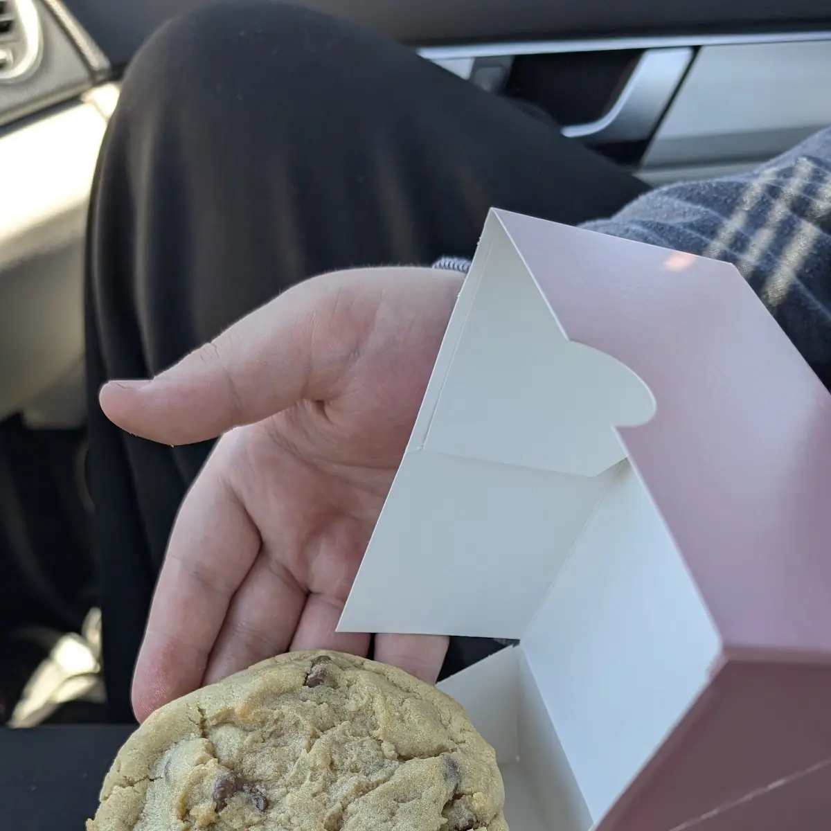 Milk Chocolate Chip Cookie