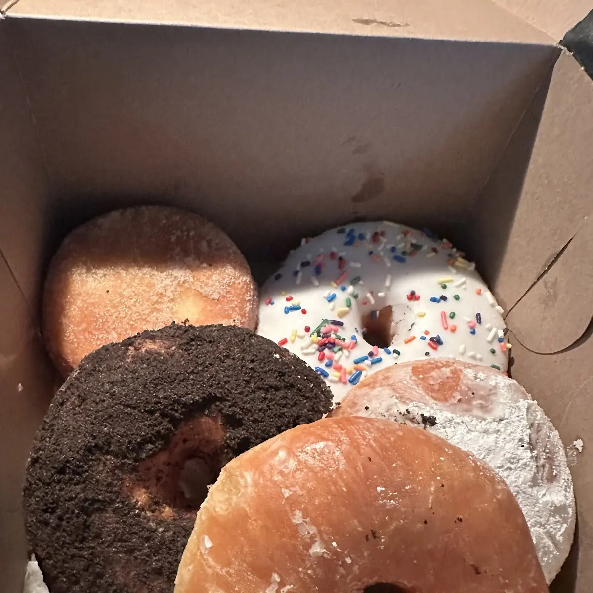 Jelly and Glazed Donuts