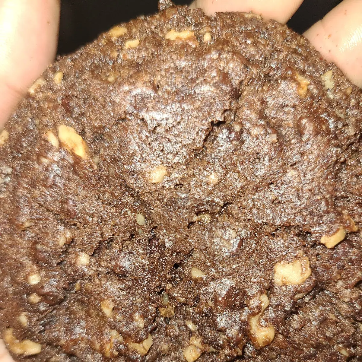 Rye Bread