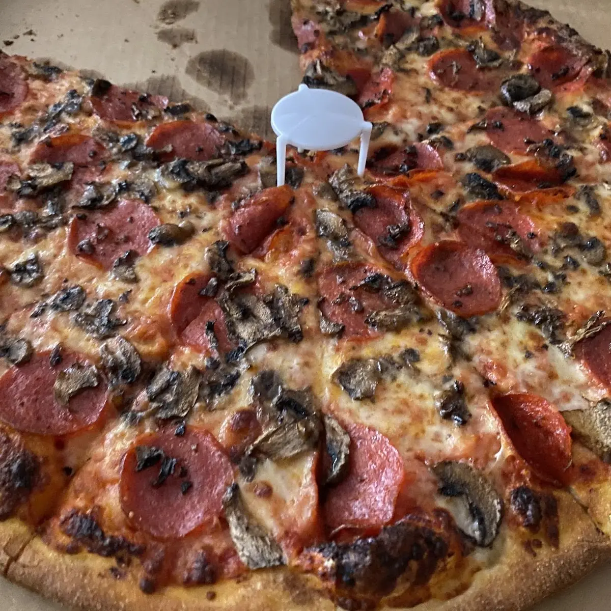 Thin Crust Pepperoni and Mushroom Pizza