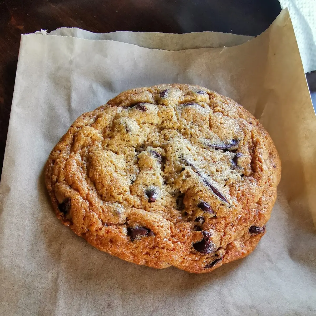 Salted Chocolate Chip Cookie