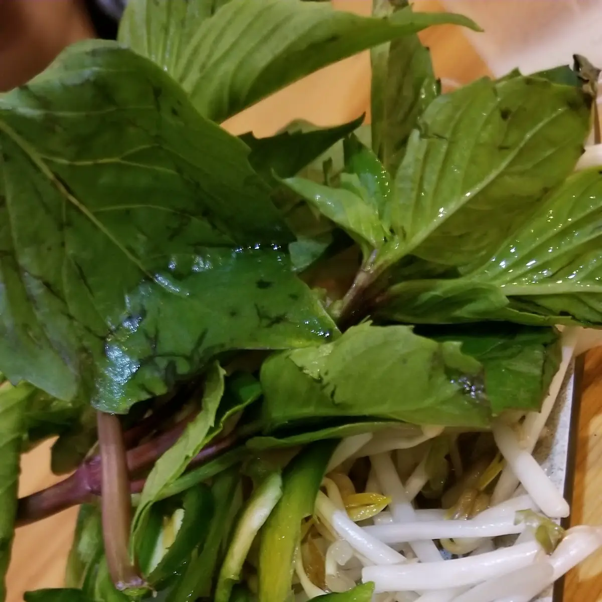 Bean Sprouts