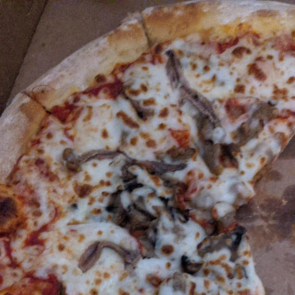 Sausage and Mushroom Pizza