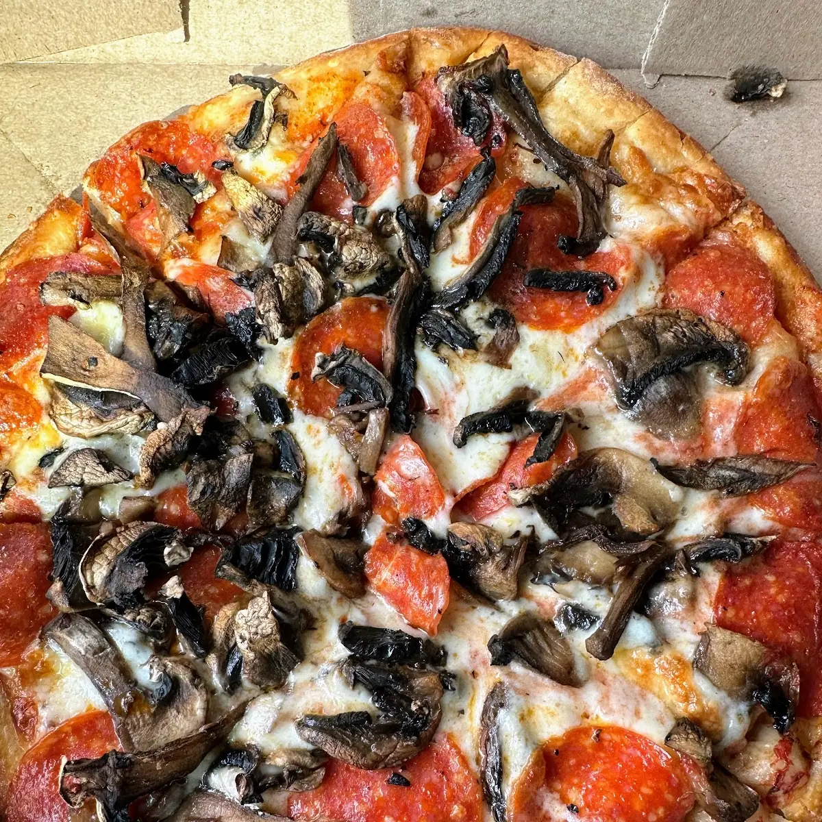 Pepperoni and Mushroom Pizza