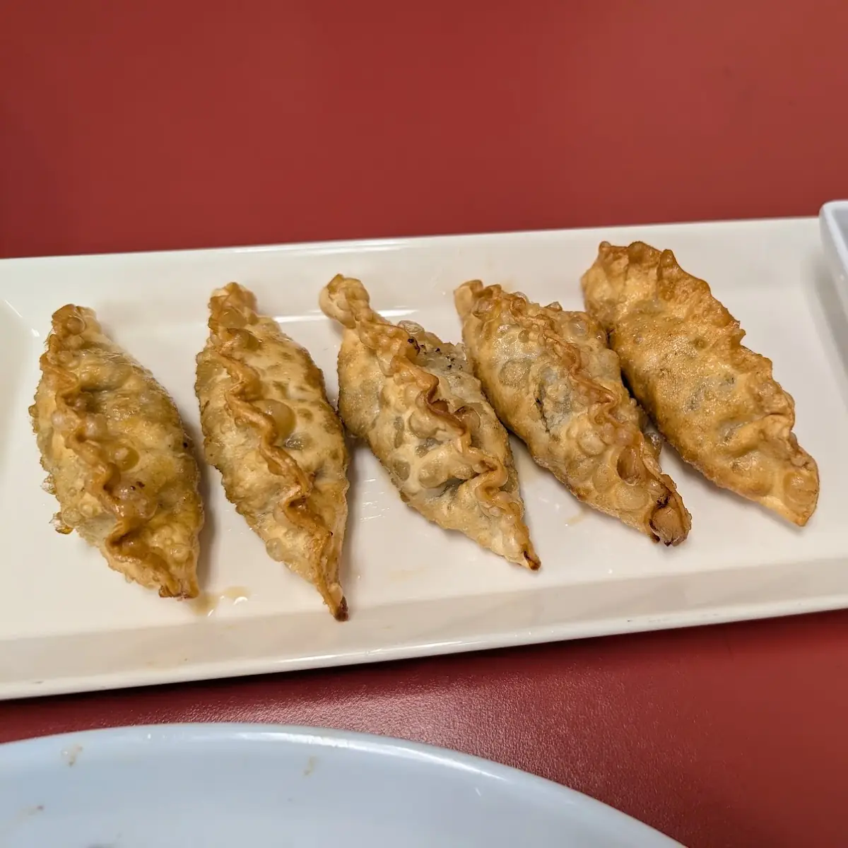 Mandoo Pork Dumplings