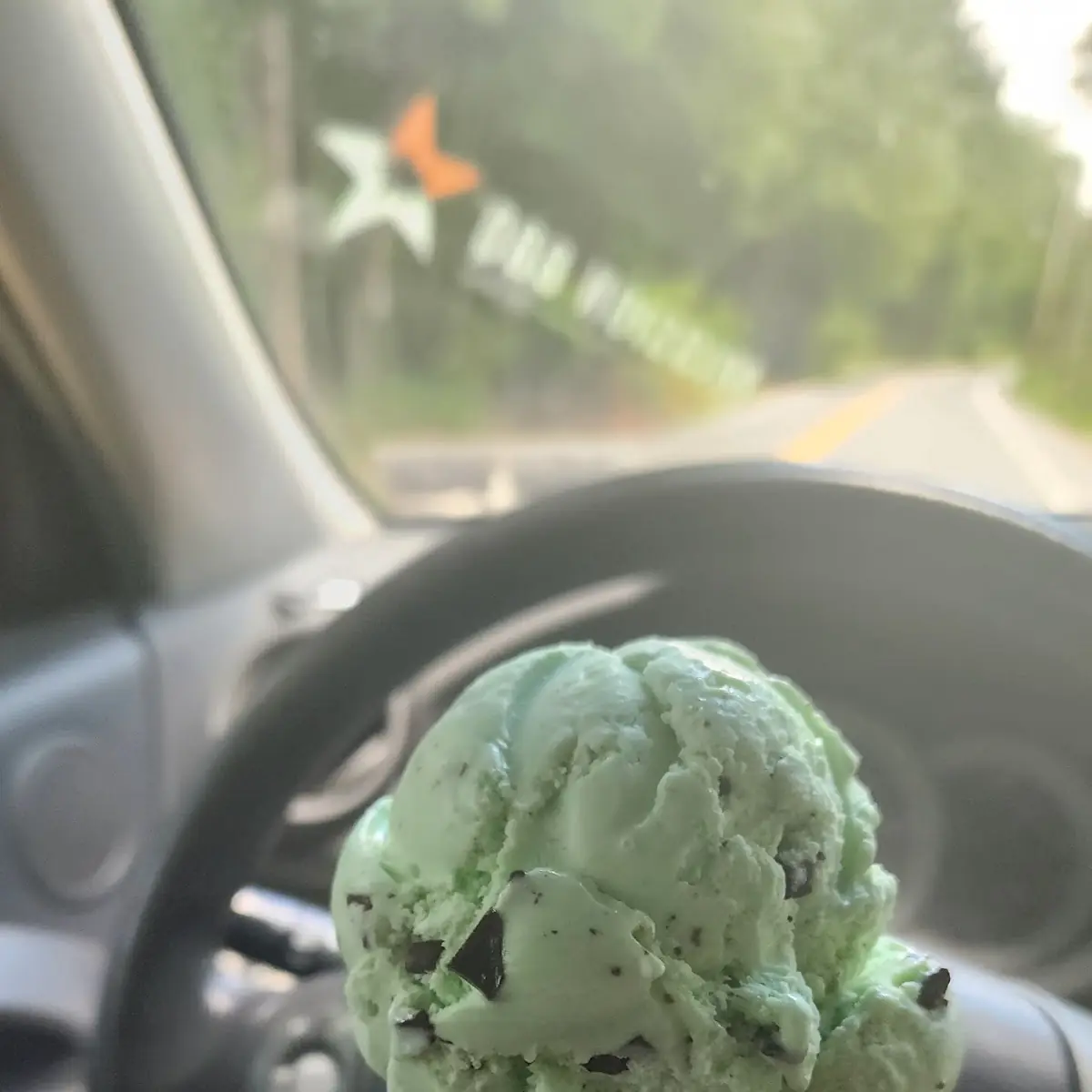 Mint Chocolate Chip