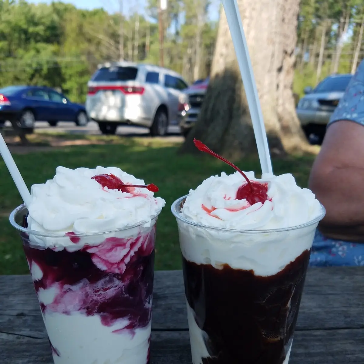 Raspberry Sundae & Hot Fudge Sundae