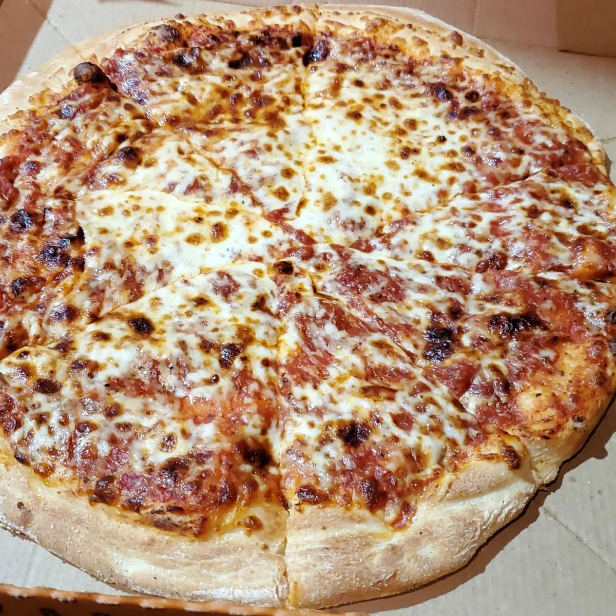 Nasty Cheese Pizza