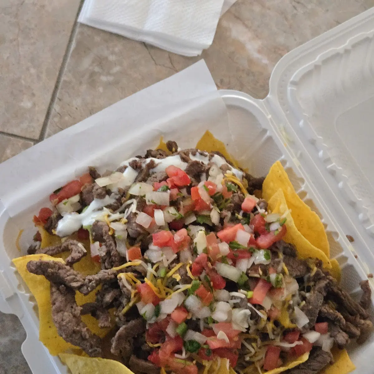 Carne Asada Fries