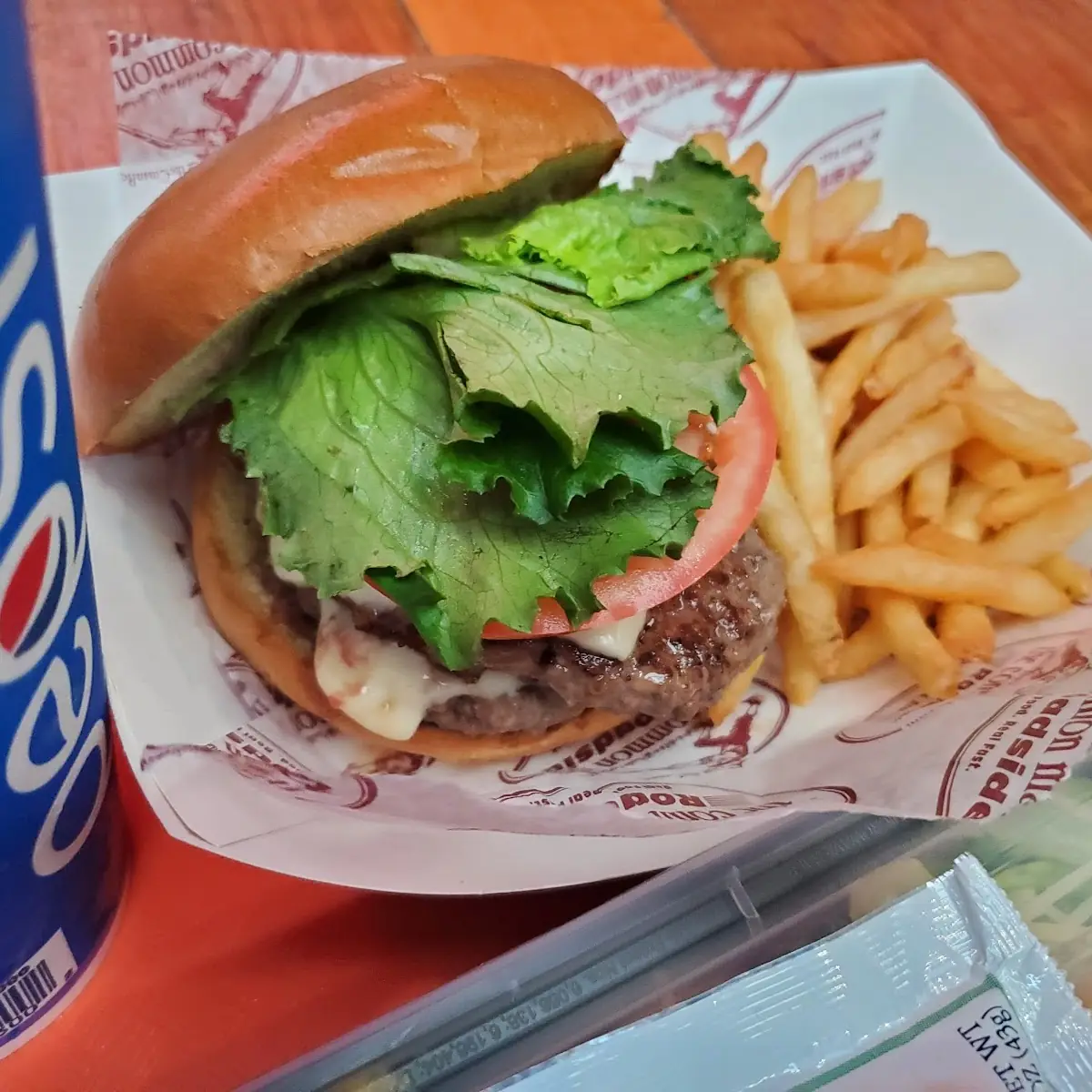 Cheese Burger and Fries