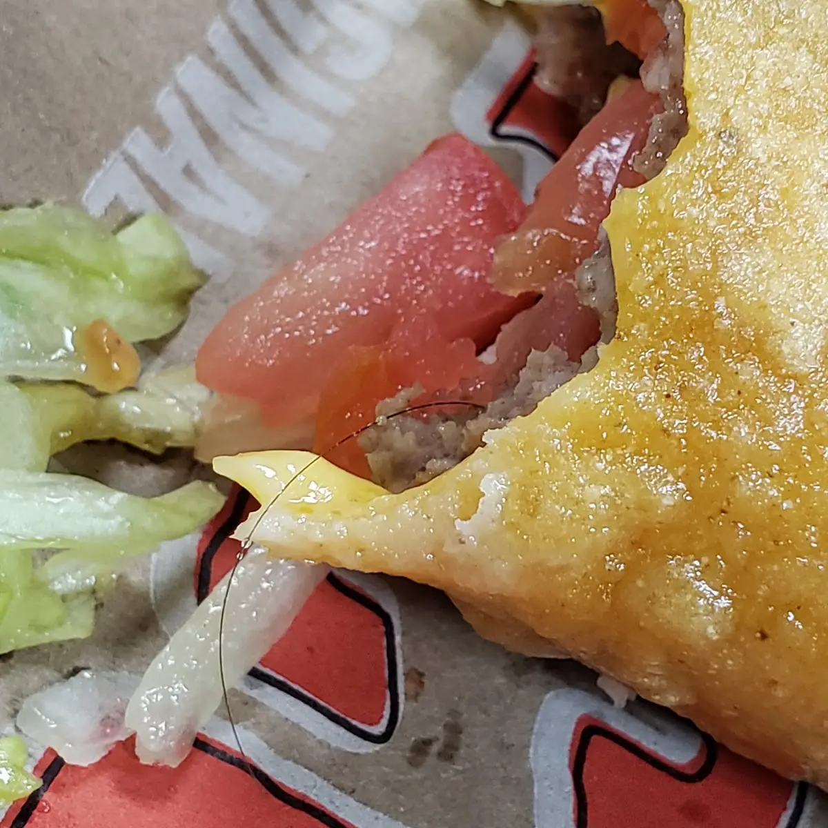 Taco Burger with Hair in It