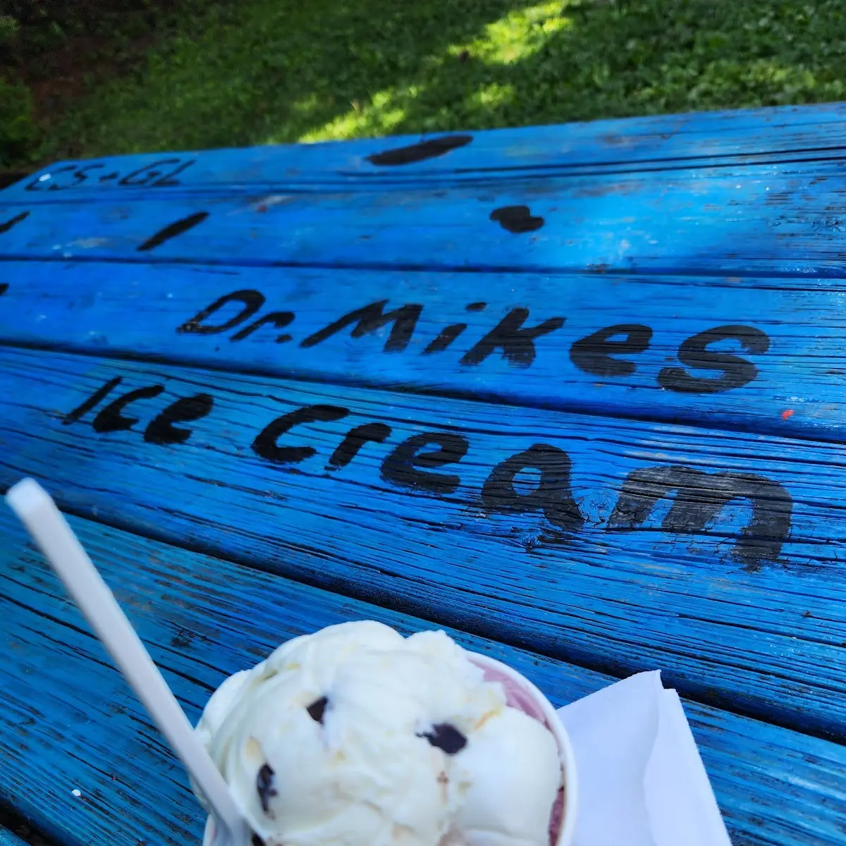 Chocolate Chip Coconut Ice Cream