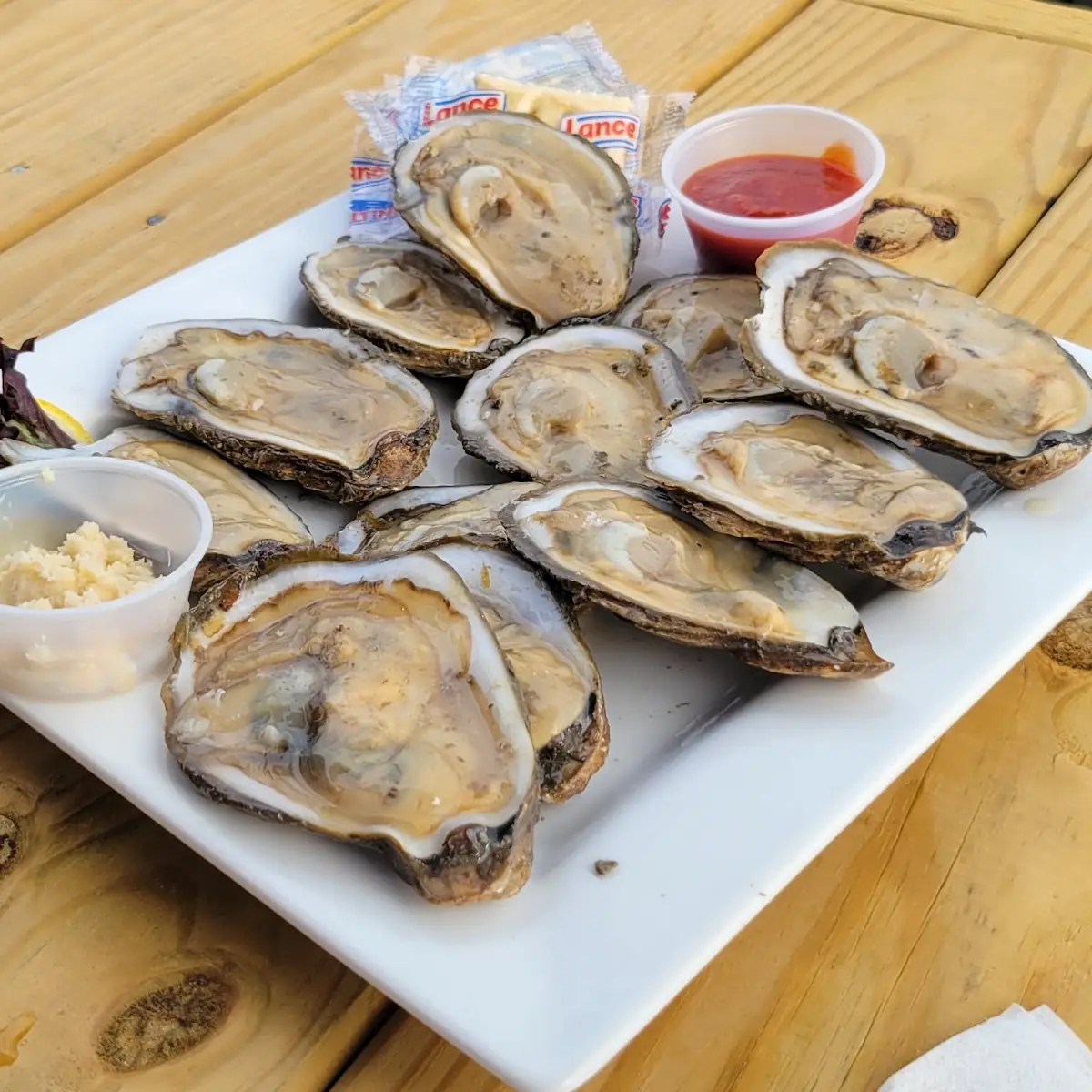 Oysters on the Half Shell