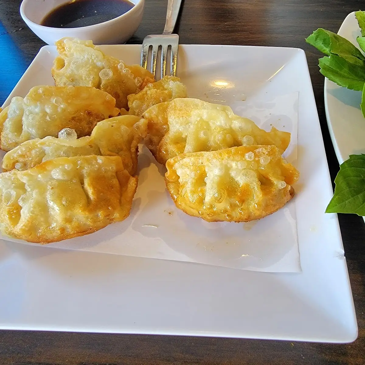 Gyōza Pan Fried