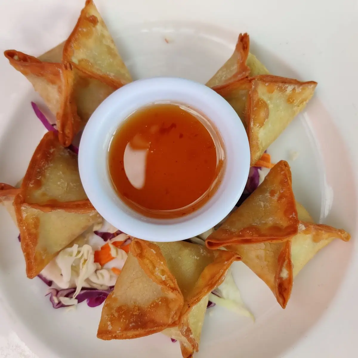 Cream Cheese Wonton